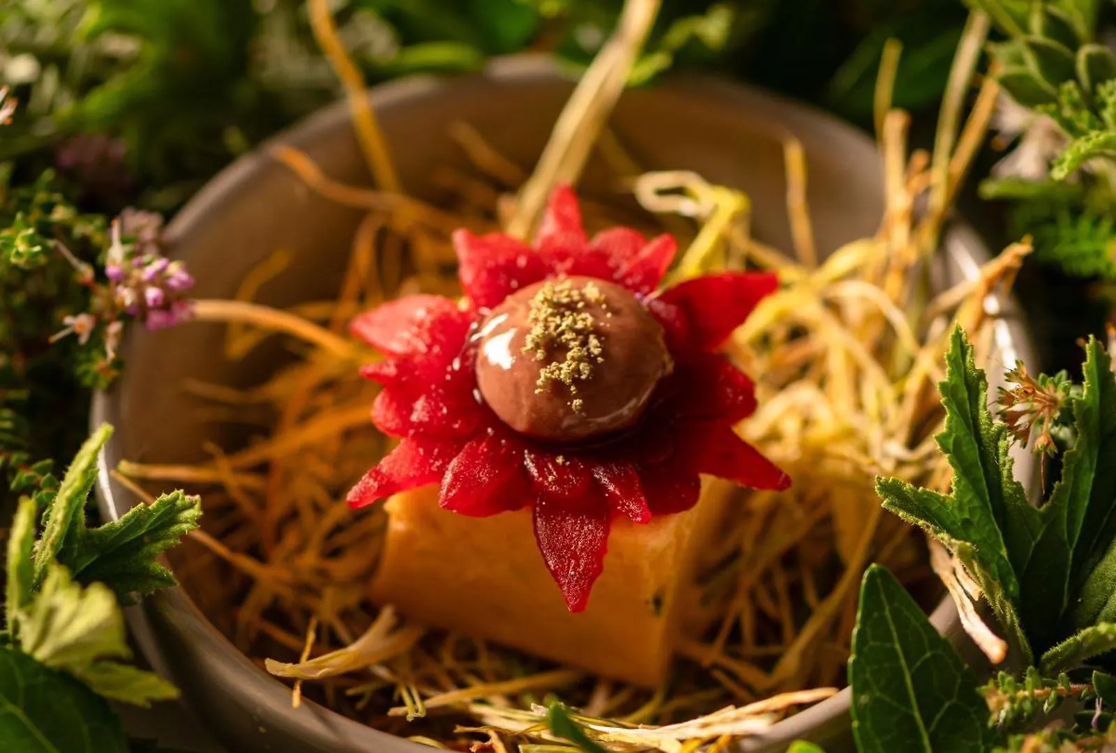 Palm House Boutique Hotel And Spa Cape Town